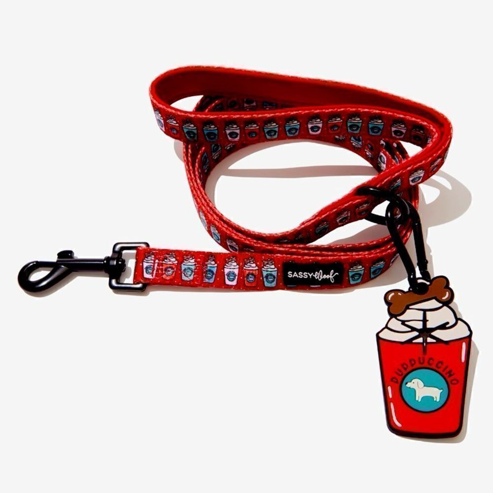 SASSY WOOF Leash & Potty Pal Combo brand new in bag